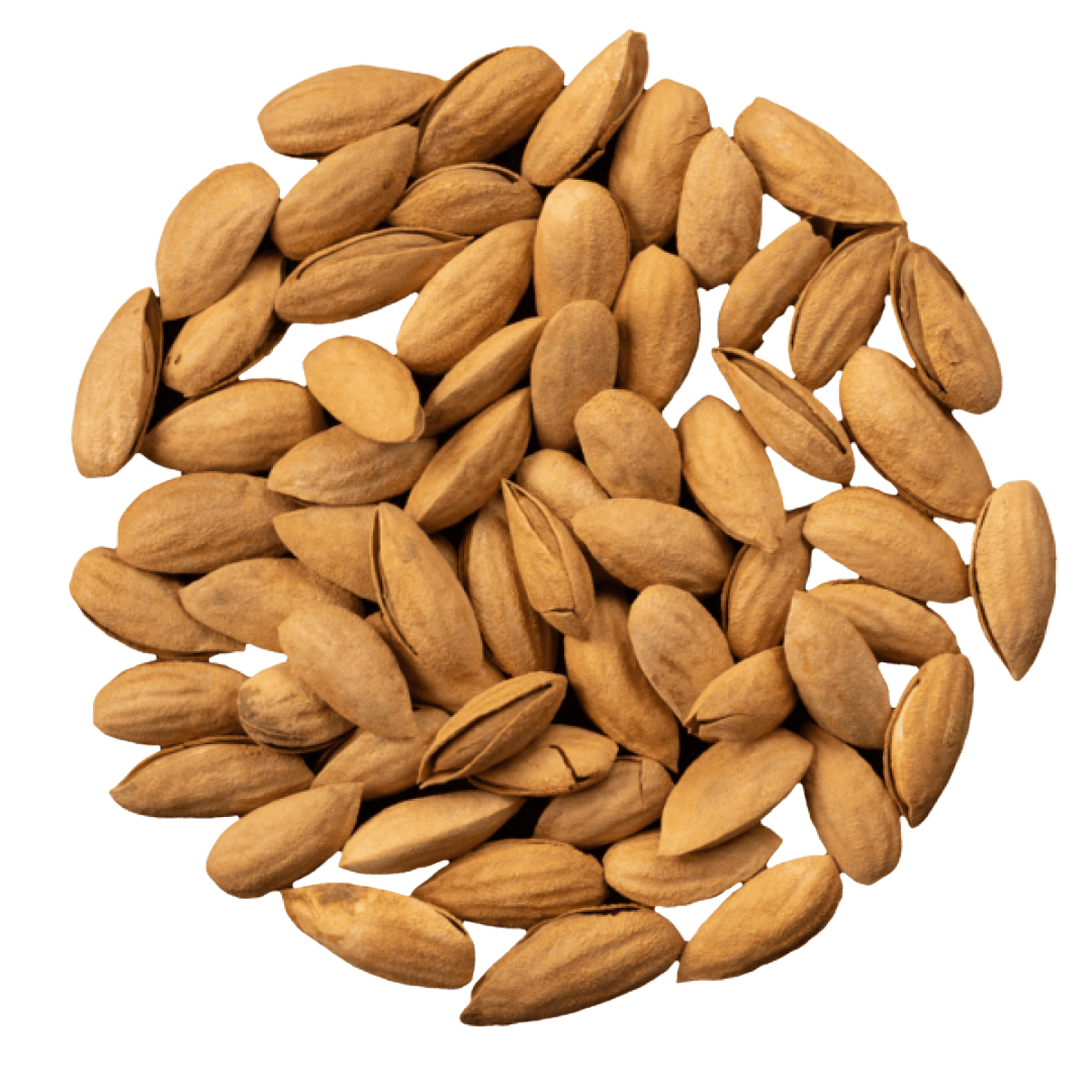 almonds in the shell-depositphot