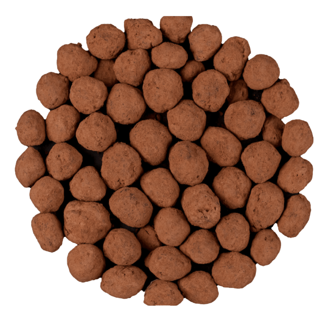 hazelnut truffle