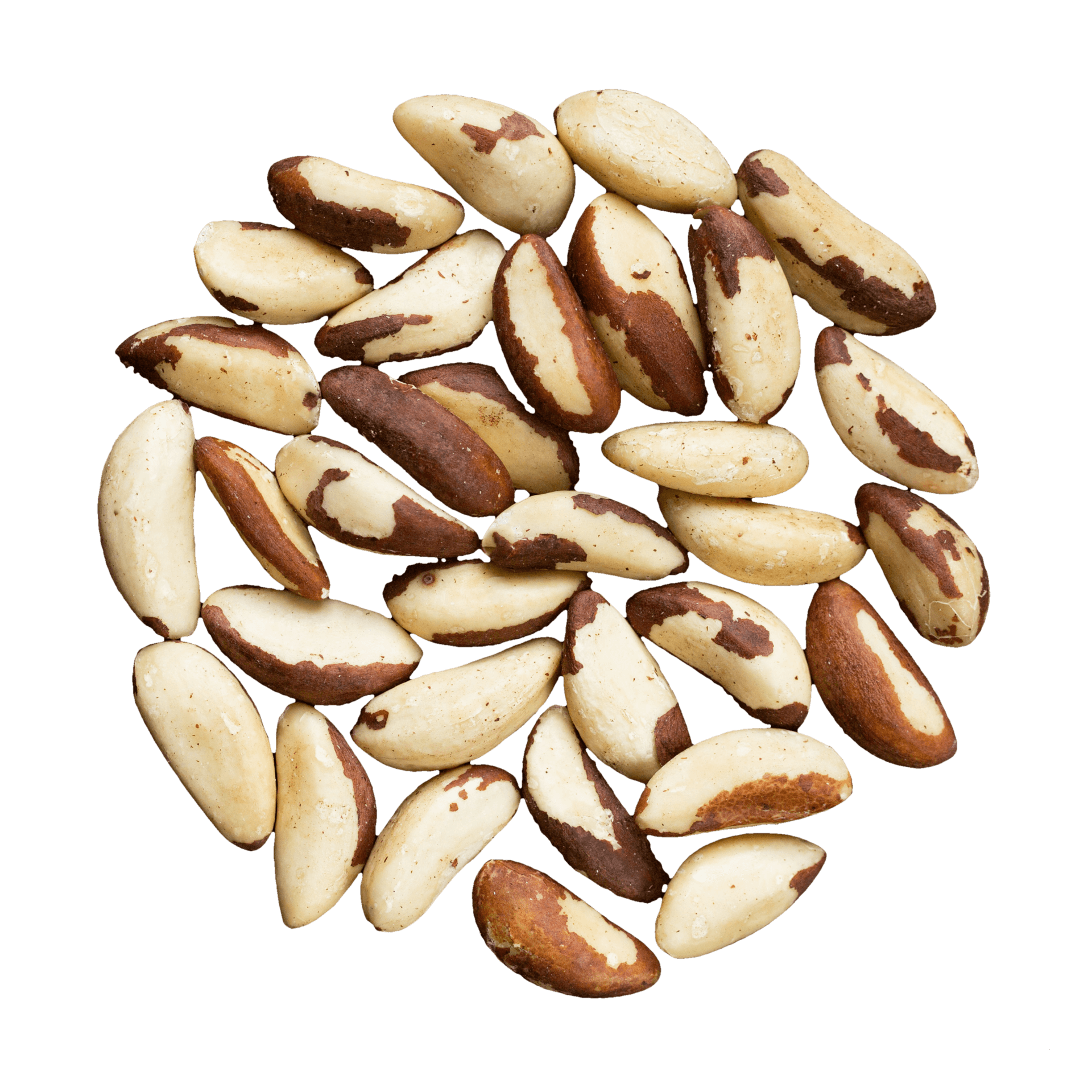 Brazil nut