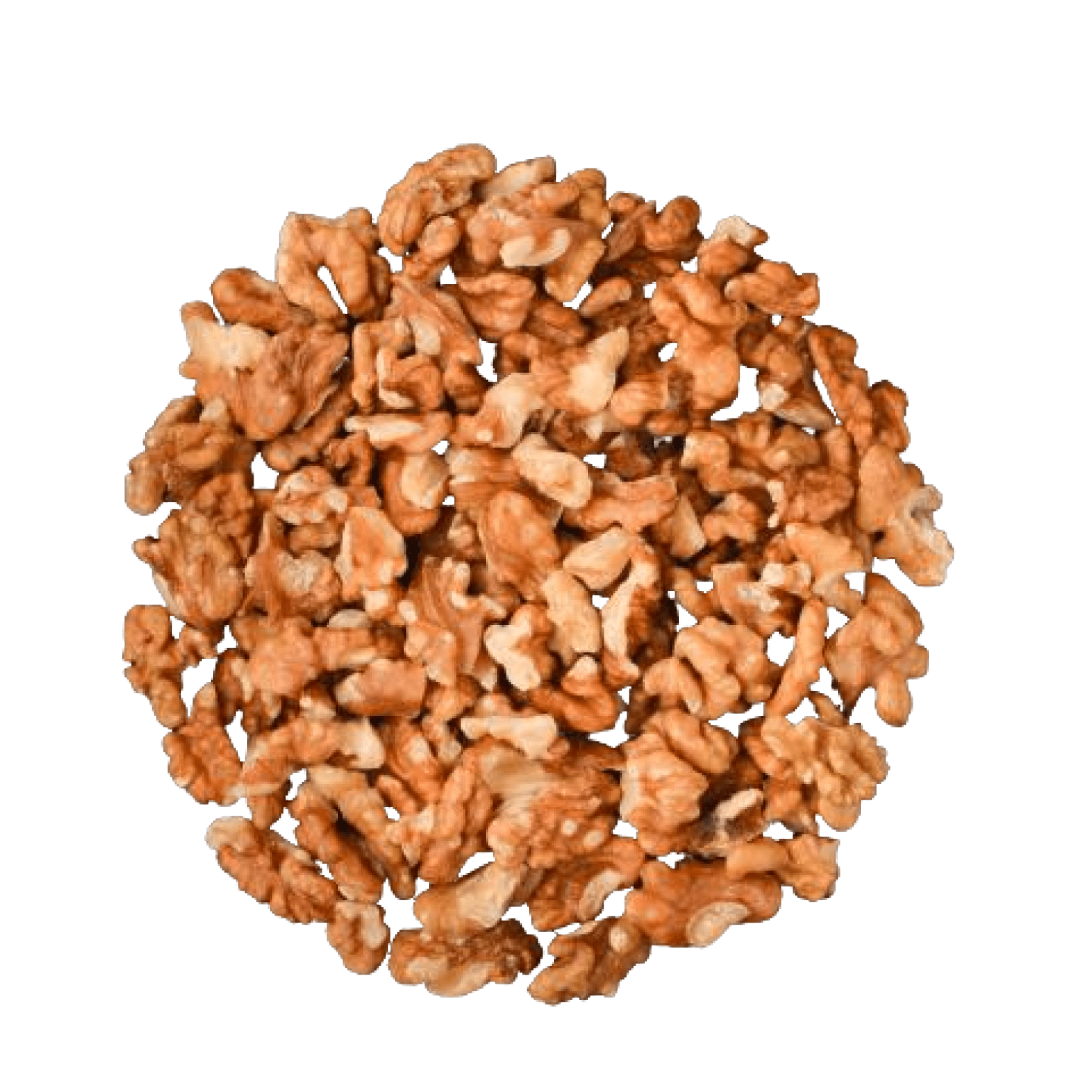 walnut